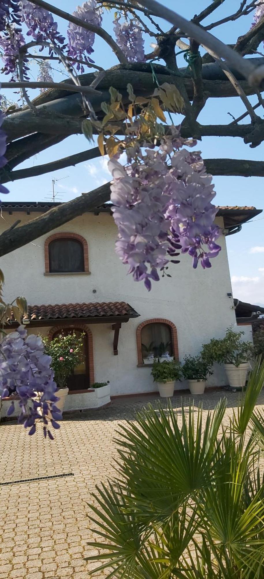 Villa Fioccomare กาไมโยเร ภายนอก รูปภาพ
