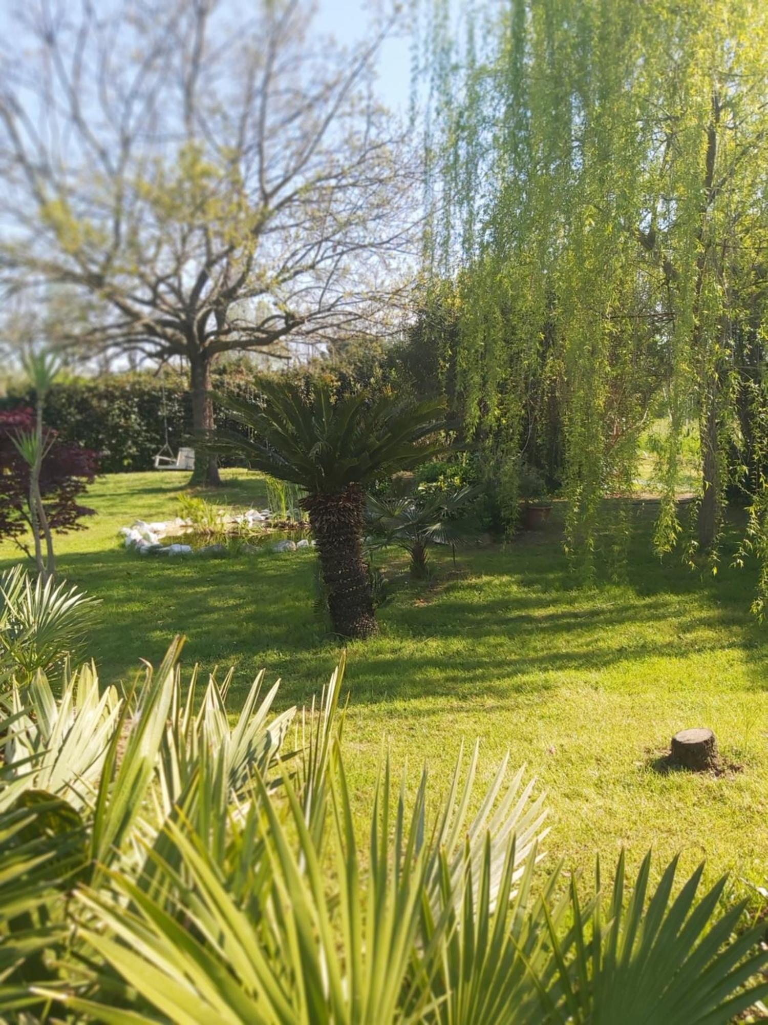 Villa Fioccomare กาไมโยเร ภายนอก รูปภาพ